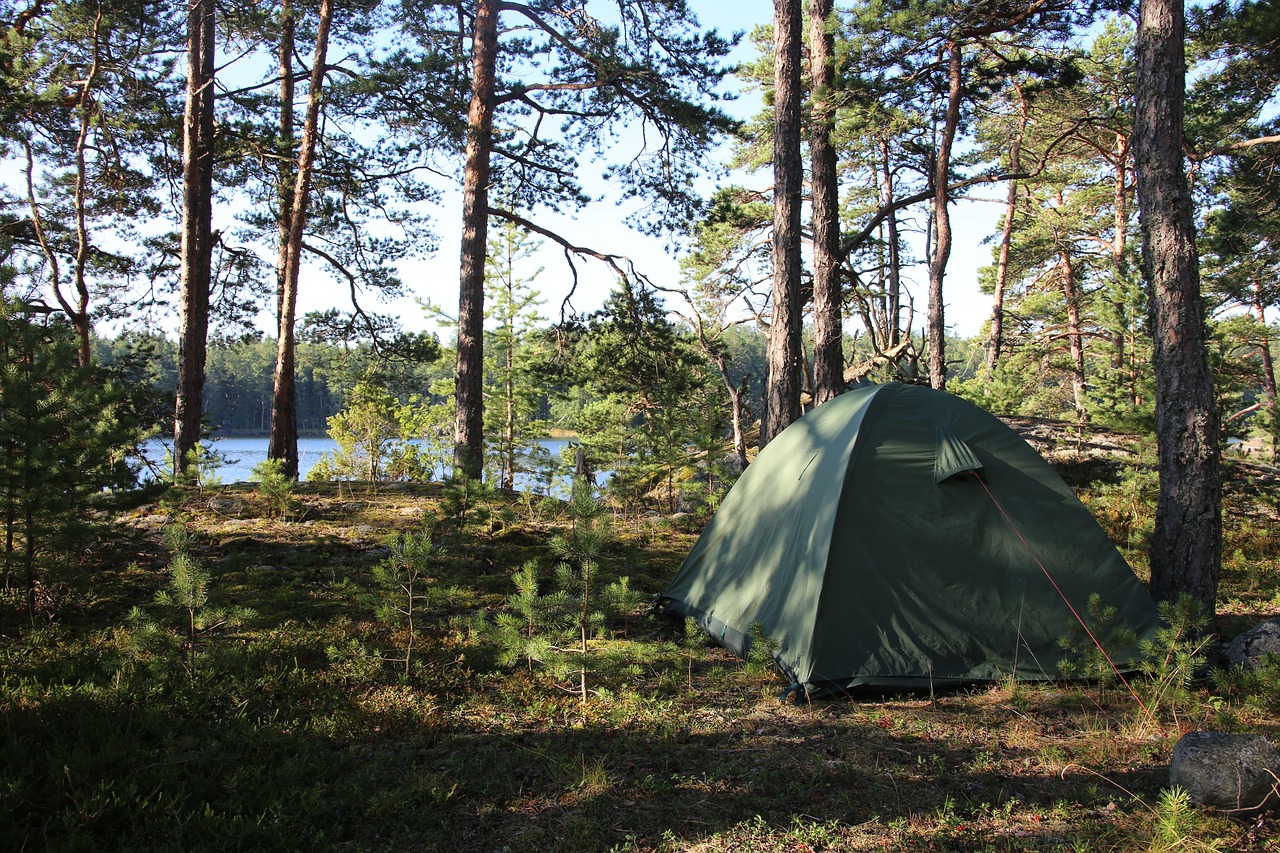 tent, forest, trees, camping, archipelago, sea, nature, tent, tent, tent, tent, tent, camping, camping